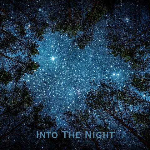 Into The Night