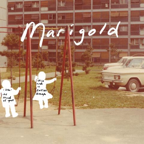 Marigold