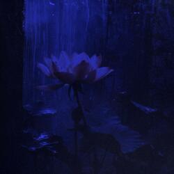 touch - Ambient Rework