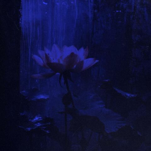 touch - Ambient Rework