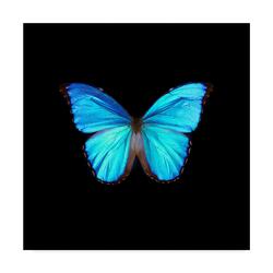 The Butterfly Effect