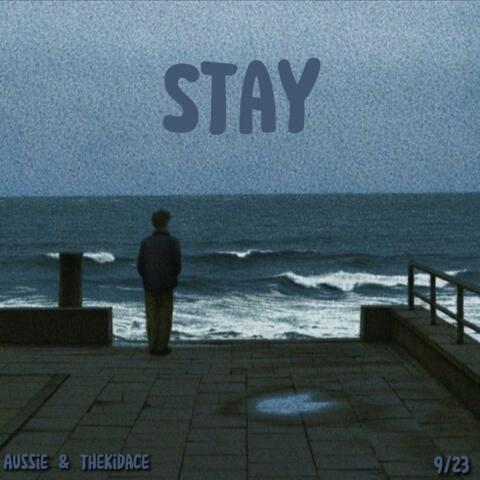 Stay (feat. thekid.ACE)