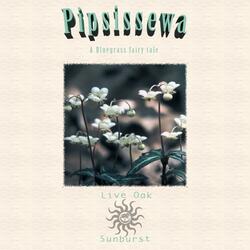 Pipsissewa
