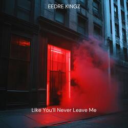 Like You'll Never Leave Me (feat. Zane Wolfie)