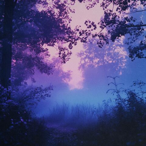 drift (slowed + reverb)