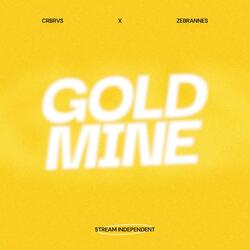 GOLDMINE (feat. zebrannes)
