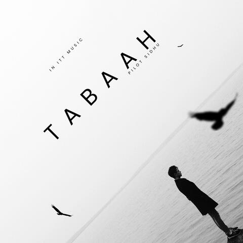 Tabaah