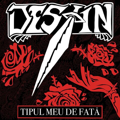 Tipul Meu de Fata