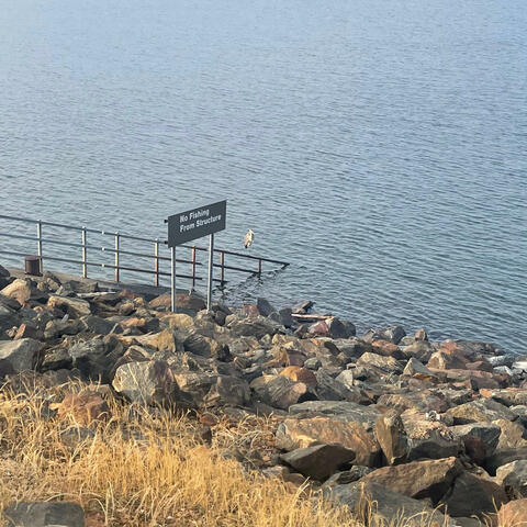 The Place in the Picture