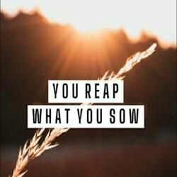 You Reap What You Sow