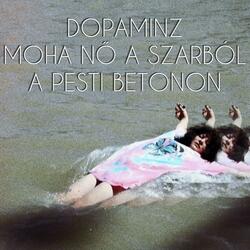 Moha nő a szarból a pesti betonon