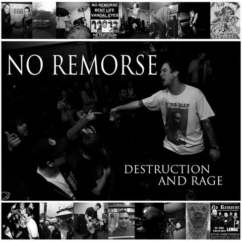 Destruction And Rage