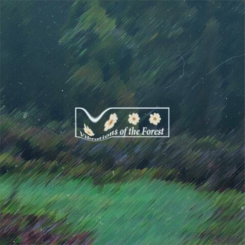 Vibrations of the Forest