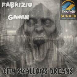 CITY SWALLOWS DREAMS