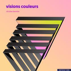 Vision (Brute Fact of Experience)
