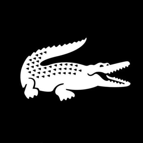 COCODRILO
