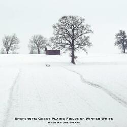 Snapshots: Great Plains Fields of Winter White