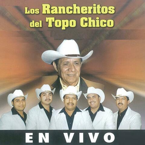 EN VIVO