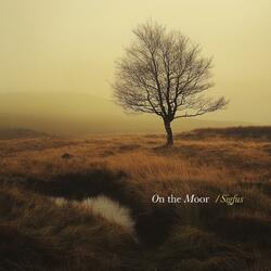 On the Moor