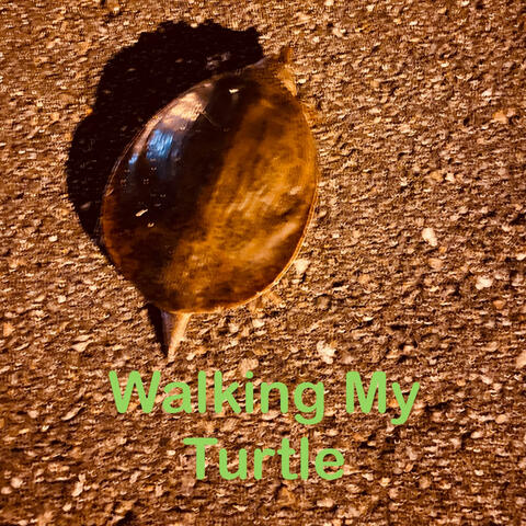 Hate Me Prod. Amir Ali