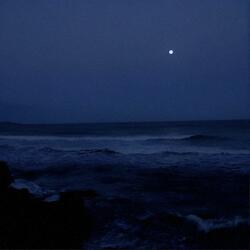 Nocturne Op.9 No.2 (Reimagined) (feat. TngPho)