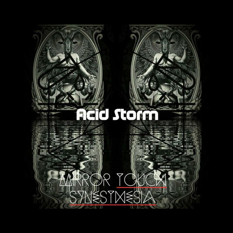 Mirror Touch Synesthesia