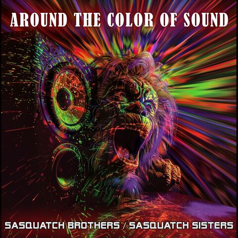 Around the color of sound