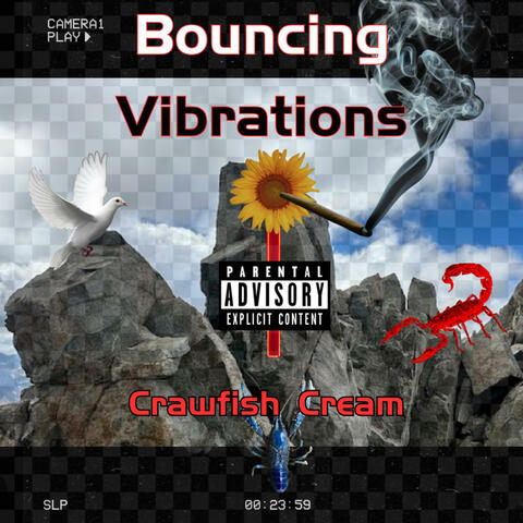 Bouncing Vibrations