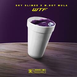 WTF (feat. M.dot Mula)