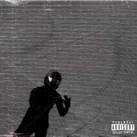 Xylo Hardy