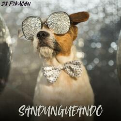 Sandungueando