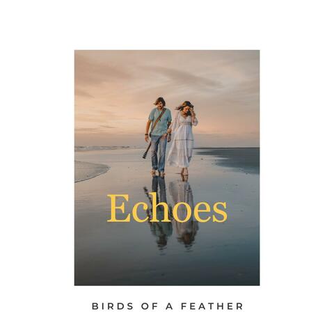 Echoes