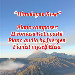 Himalayan Rose