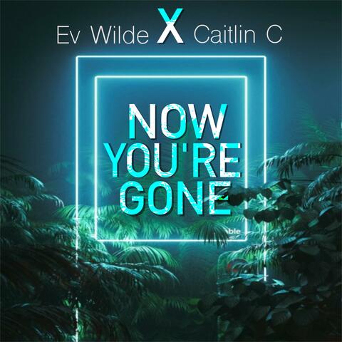 Now You're Gone (feat. Caitlin C)