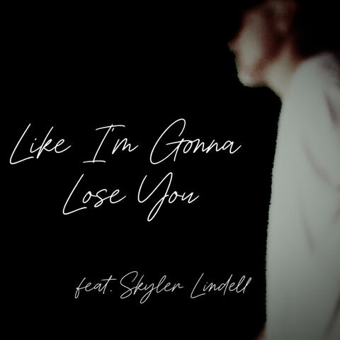 Like I'm Gonna Lose You (feat. Skyler Lindell)