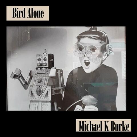 Bird Alone