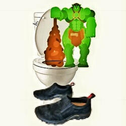 Toilet Troll