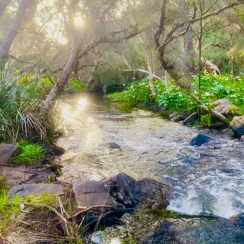 LITTLE MOUNTAIN CREEK