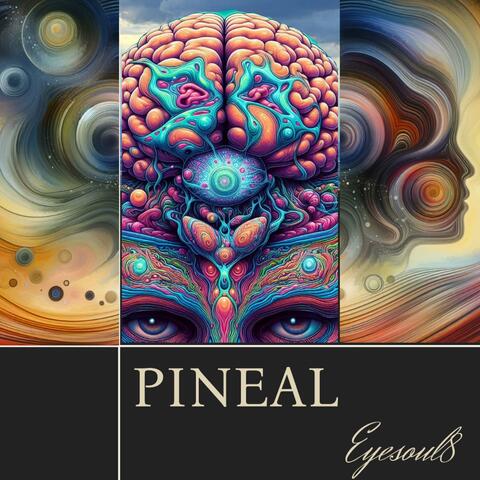 Pineal