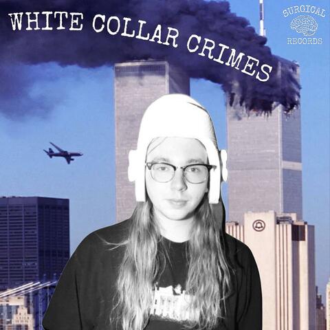 WHITE COLLAR CRIMES