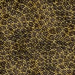 Phantom (home recording)