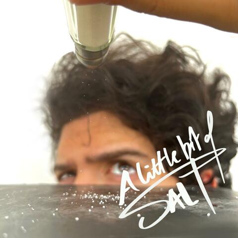 A little bit of Salt