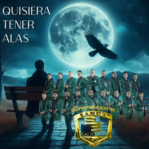 QUISIERA TENER ALAS