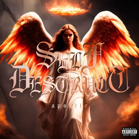 Apostle