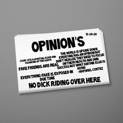 Opinion's