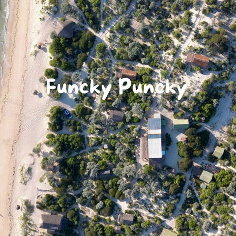 Funcky Puncky
