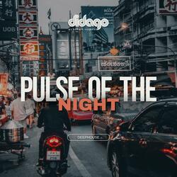 Pulse Of The Night
