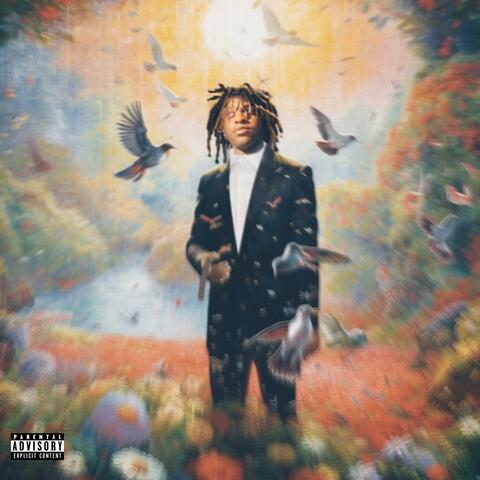 HollyHood