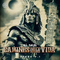 Caminos De La Vida