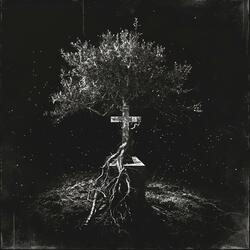 Lacrimosa